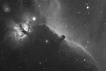 Nbuleuse de la flamme - NGC2024, tte de cheval - Barnard 33 - et nbuleuse en arriere plan - IC434
