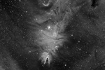 Nébuleuse du cône / Arbre de Noël - NGC2264 - en Halpha