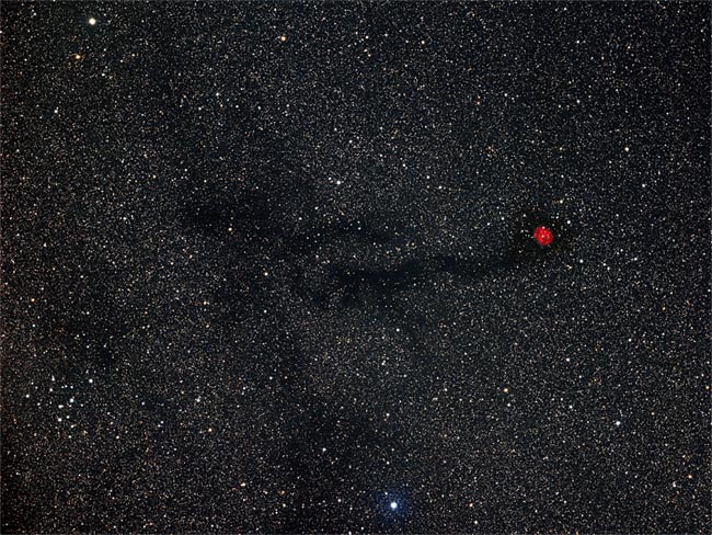 Nébuleuse du cocon dans le Cygne - IC5146 -  et nébuleuse obscure associée