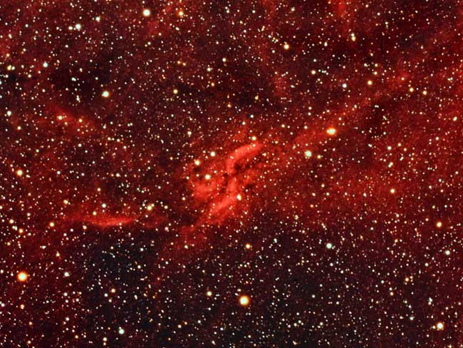 Région X dans le Cygne -  X-nebulae dwb111-118-119