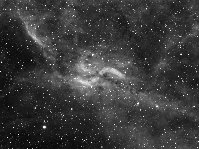 Nébuleuse "X-nebulae" (dwb111-18-19) dans le Cygne